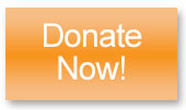 donate-button